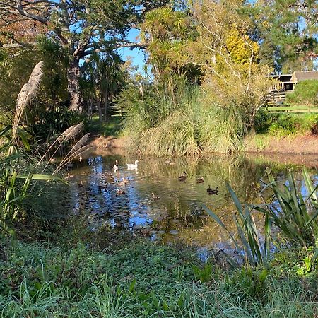 Willows Reach Lodge Kumeu Екстериор снимка