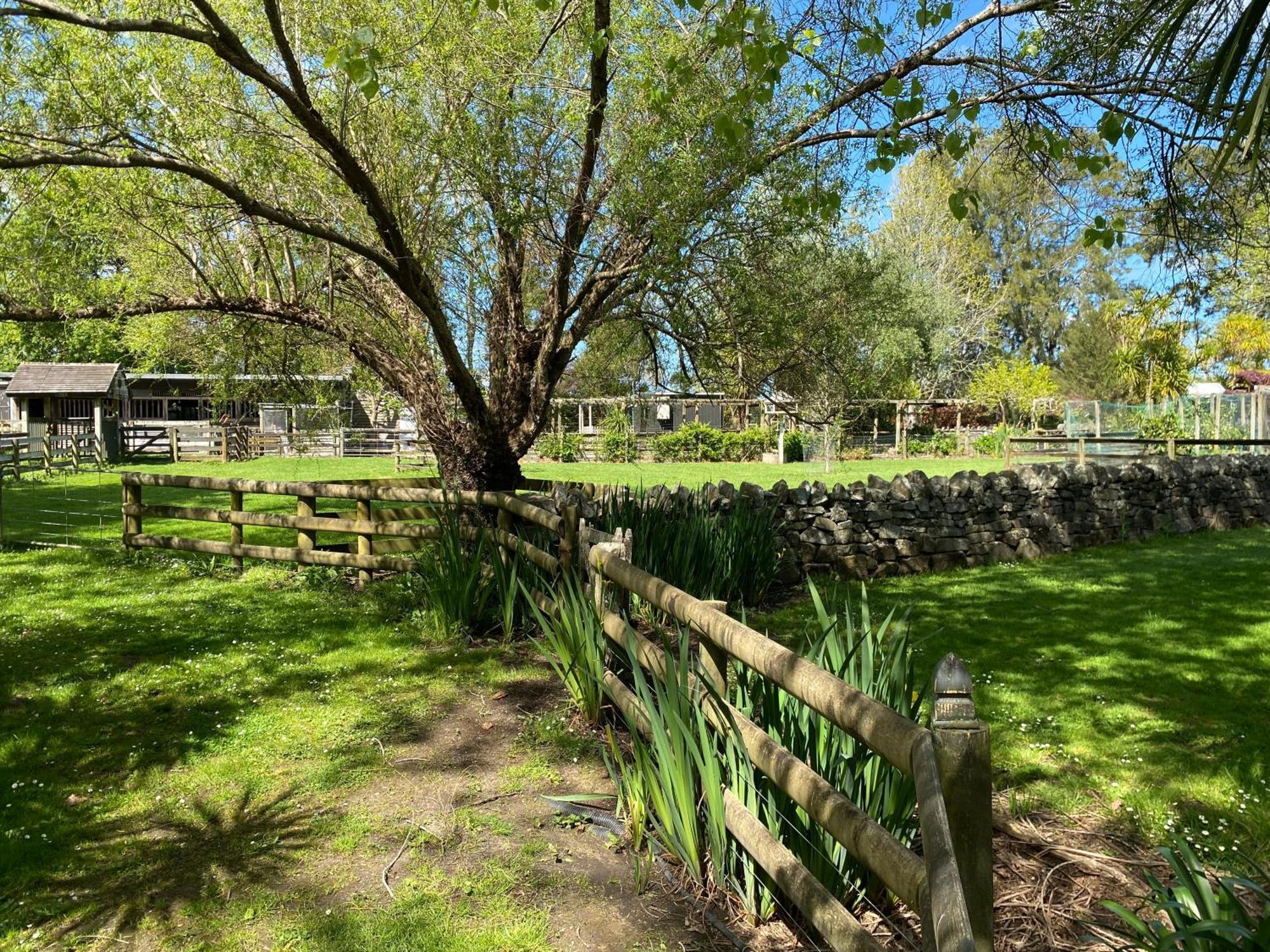 Willows Reach Lodge Kumeu Екстериор снимка