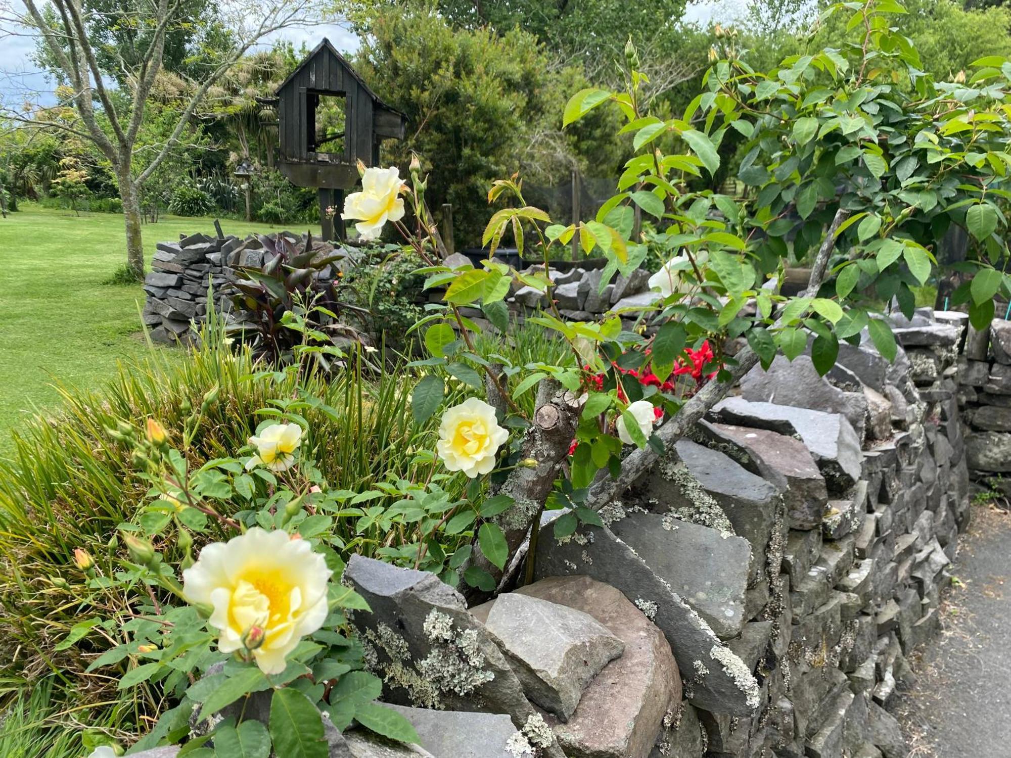 Willows Reach Lodge Kumeu Екстериор снимка