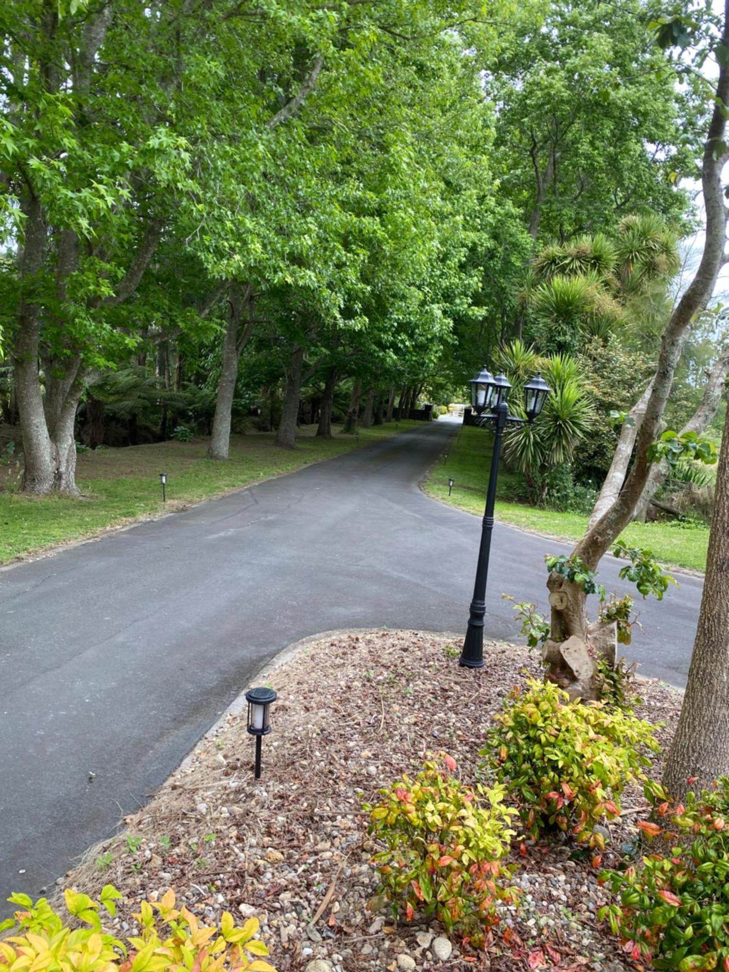 Willows Reach Lodge Kumeu Екстериор снимка