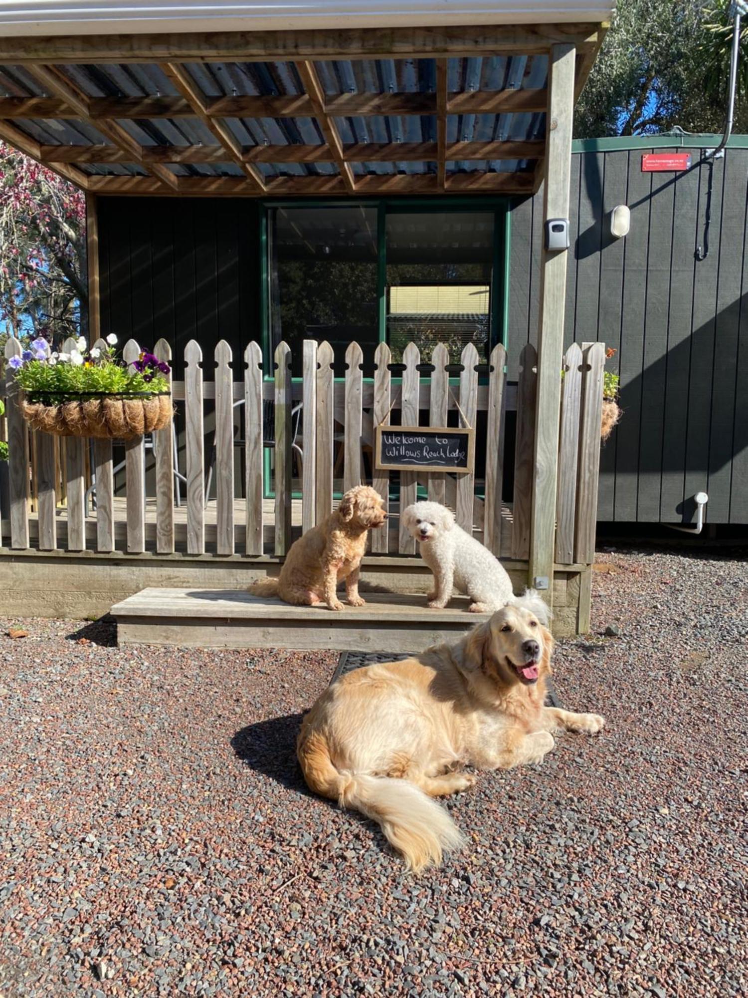 Willows Reach Lodge Kumeu Екстериор снимка
